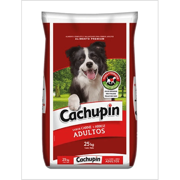610 Cachupin Adulto AD - Imagen 1