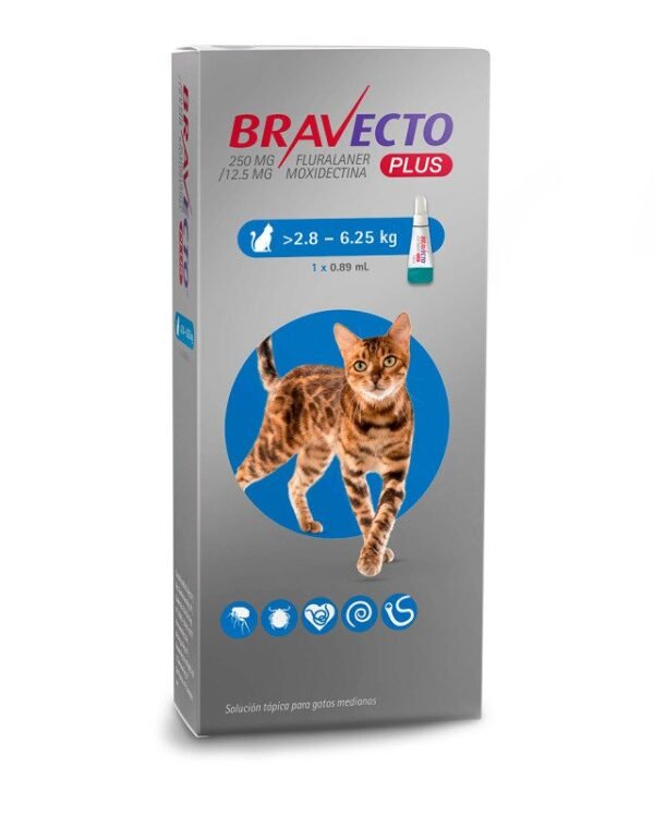 Bravecto Gato Plus 2.8 - 6.25 Kg