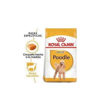 Royal Canin Dog Poodle Ad 1 Kg
